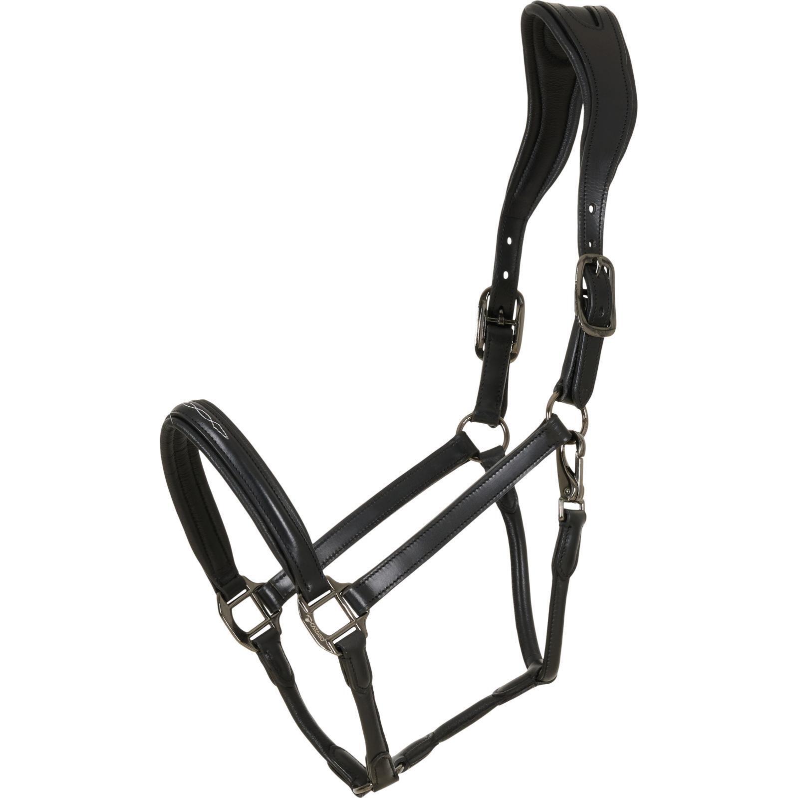 Cavezza in cuoio Catago Novi 25.2