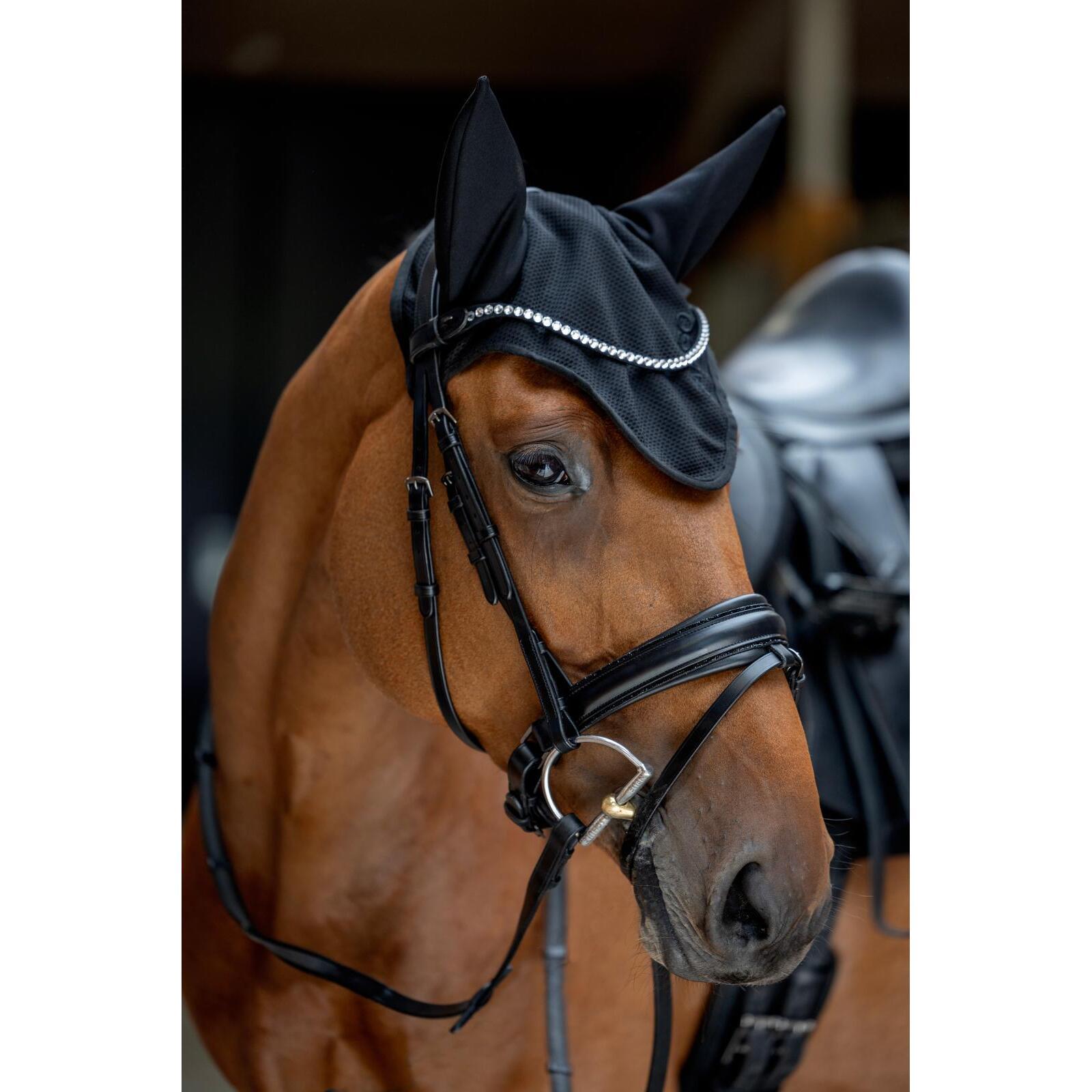 Cappuccio per cavallo corto con orecchie silenziose Catago FIR-Tech