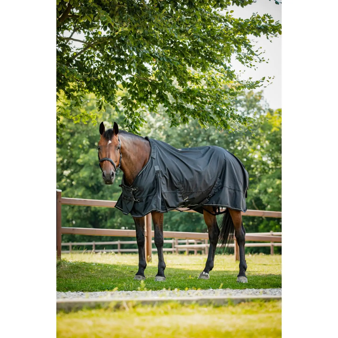 Comparer les prix de Couverture d'extérieur pour cheval Catago Endurance 2.0 0g