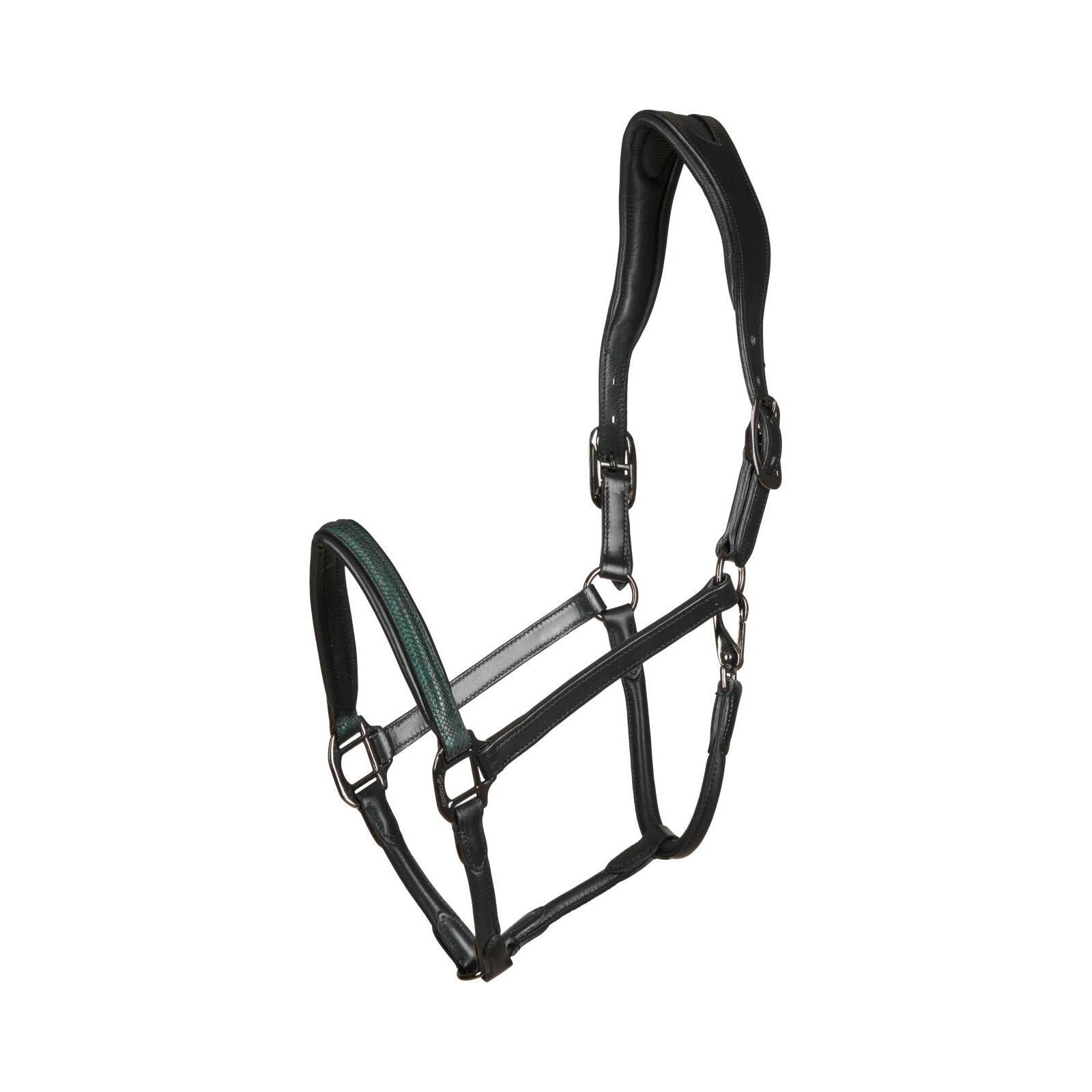 Meilleurs prix pour Licol pour cheval en cuir Catago Arrow