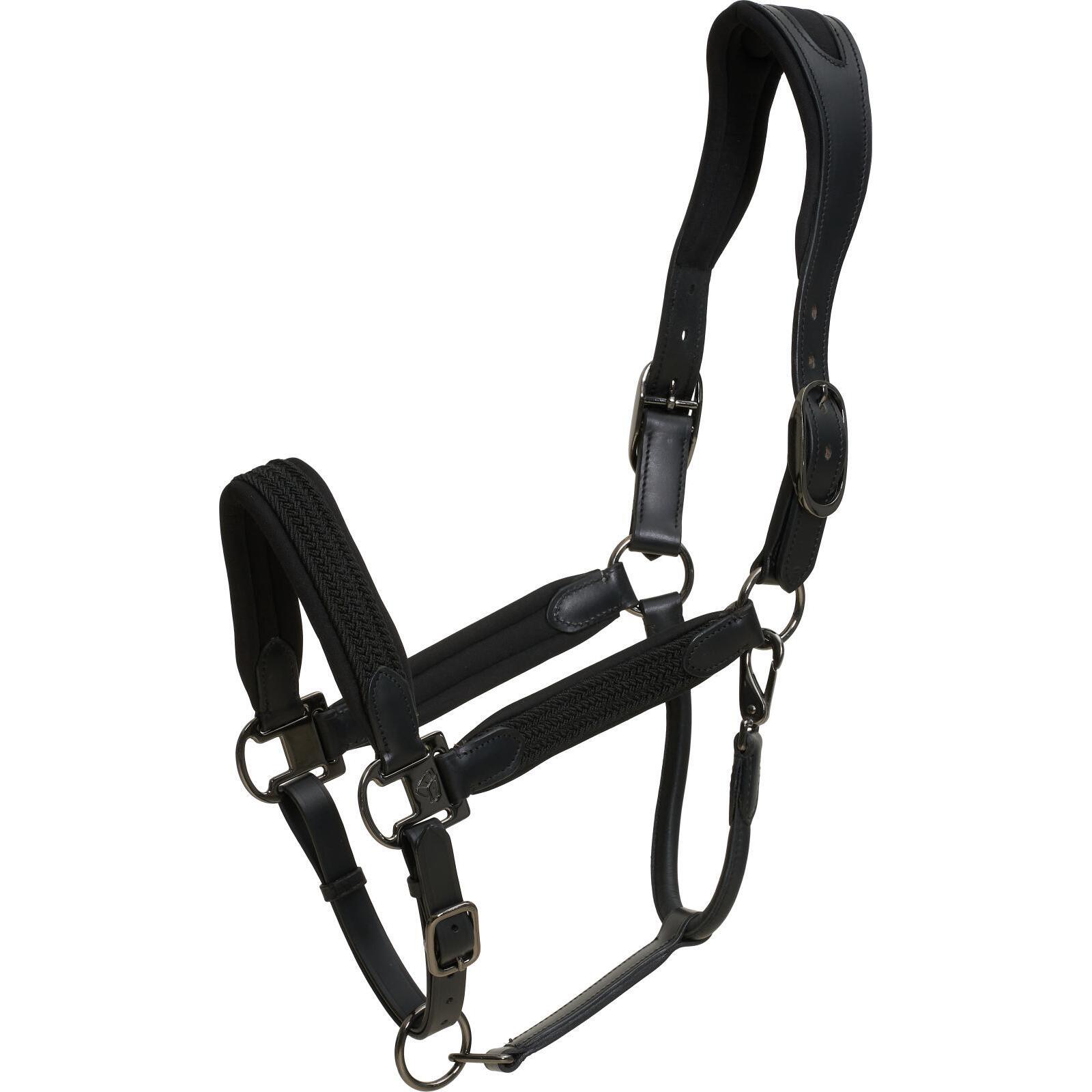 Comparer les prix de Licol pour poney Catago Alani