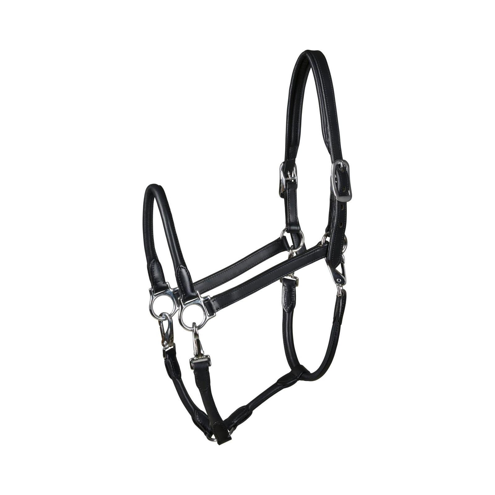 Meilleurs prix pour Licol pour poney en cuir Catago Tack-up