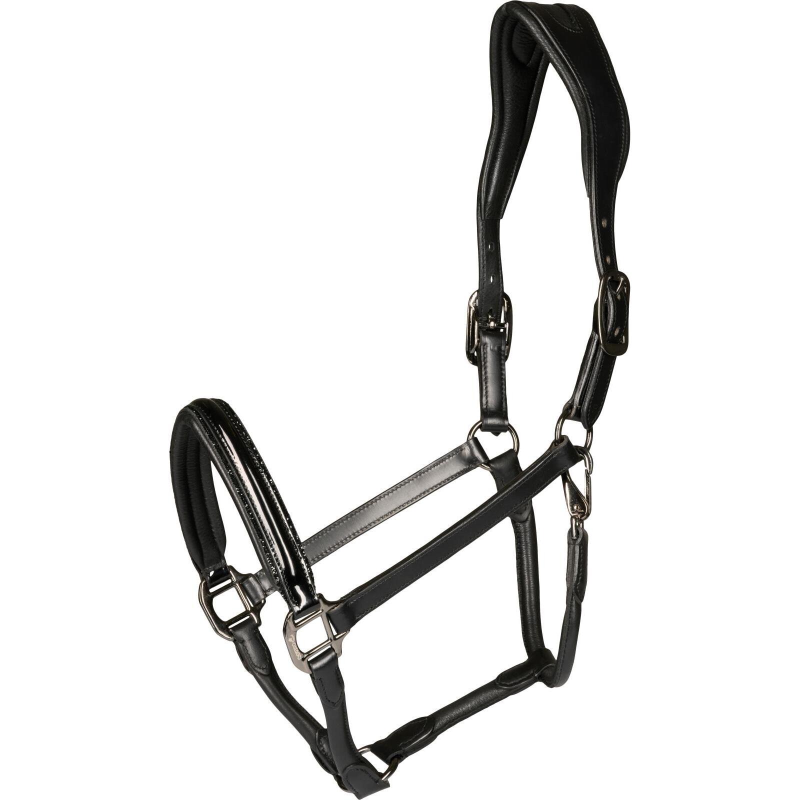 Comparer les prix de Licol pour poney Catago Novi