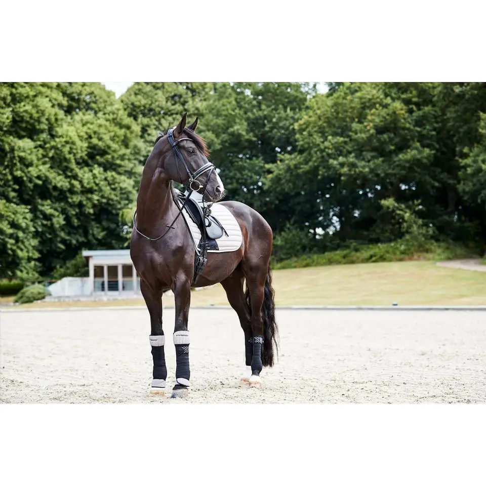 Meilleurs prix pour Bridons équitation Catago Savi