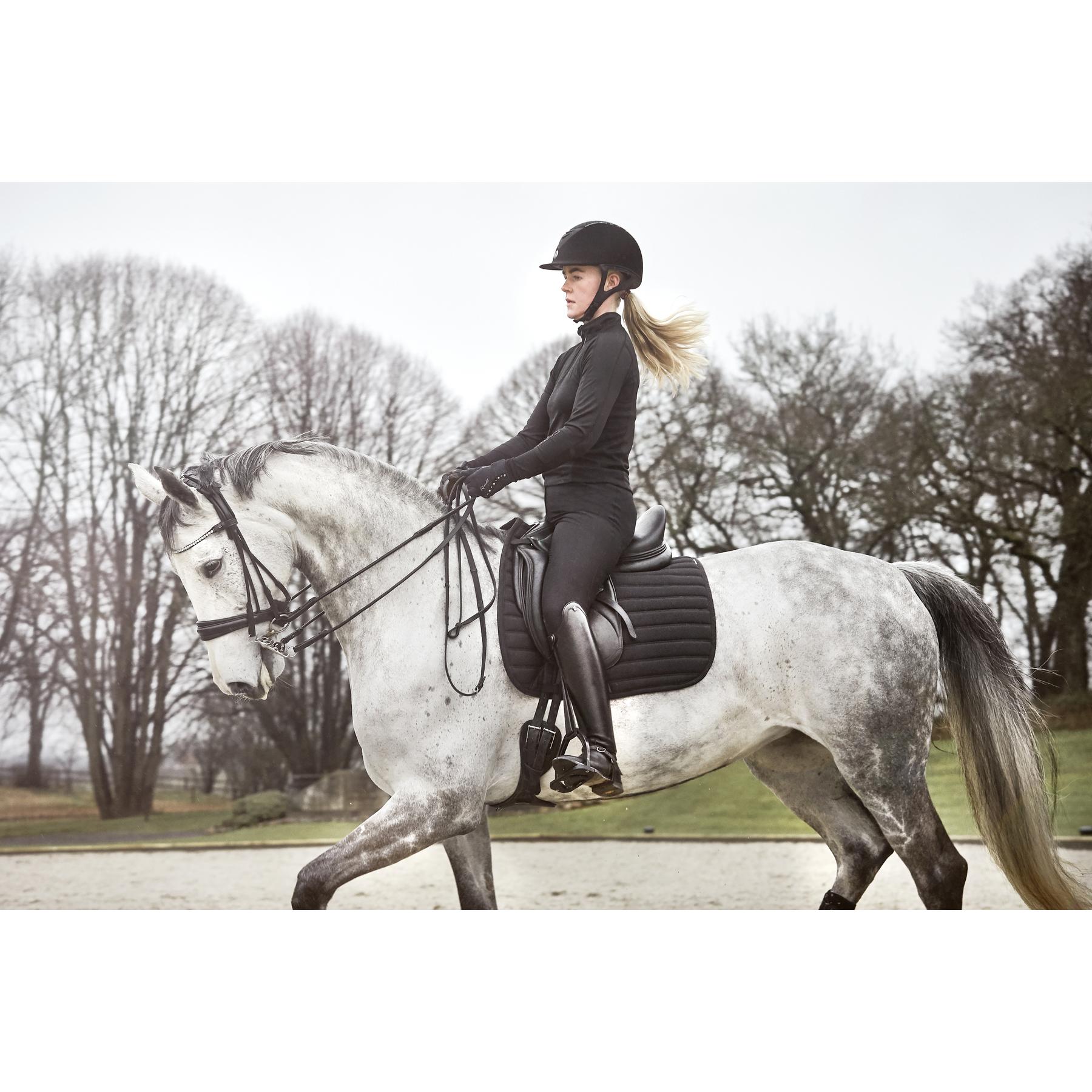 Comparer les prix de Bridons équitation double roulée Catago Santo