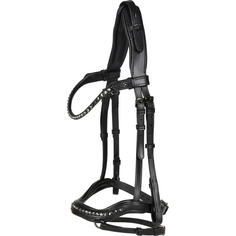 Meilleurs prix pour Bridons équitation Catago Raja Icelandic