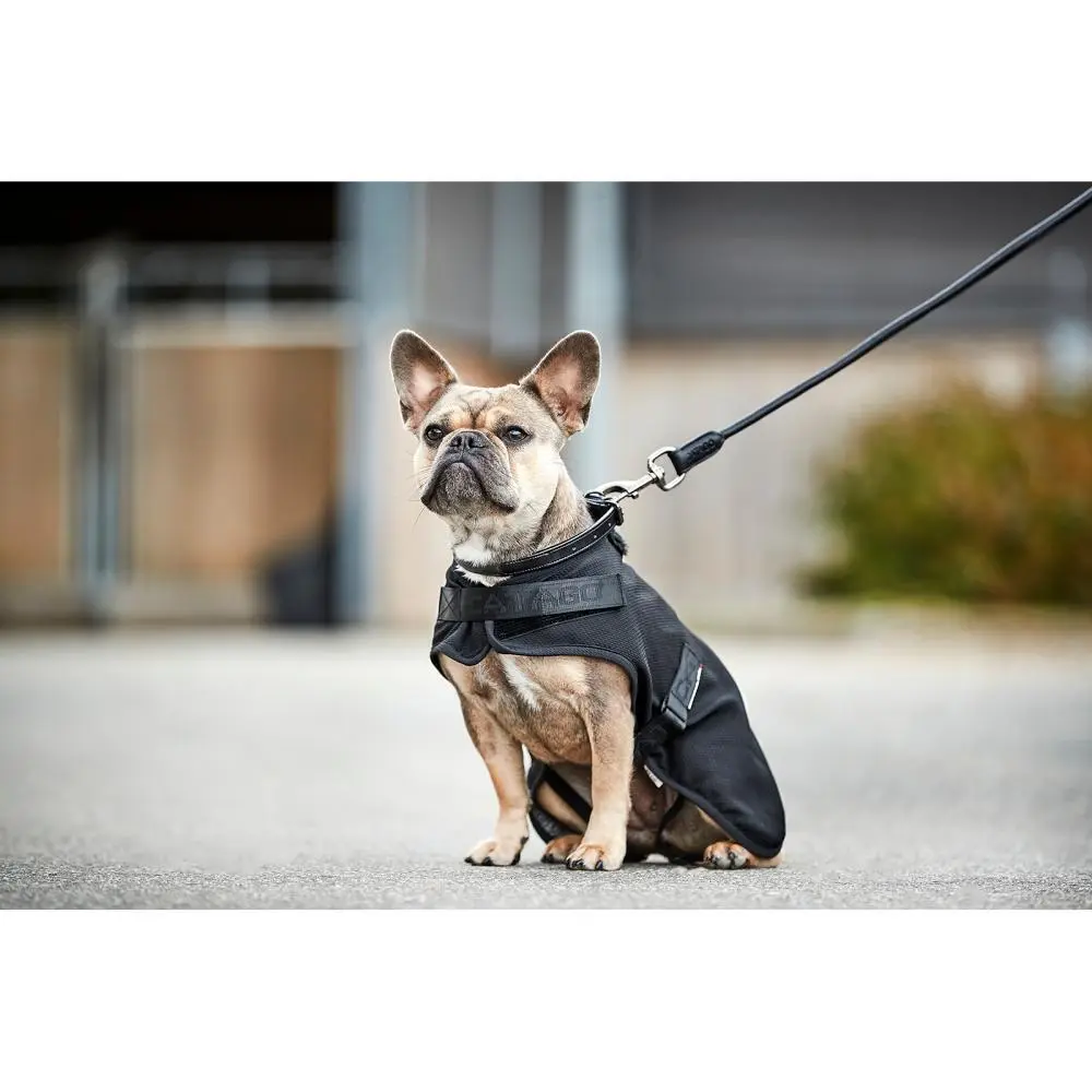 Comparer les prix de Couverture pour chien Catago Hybrid