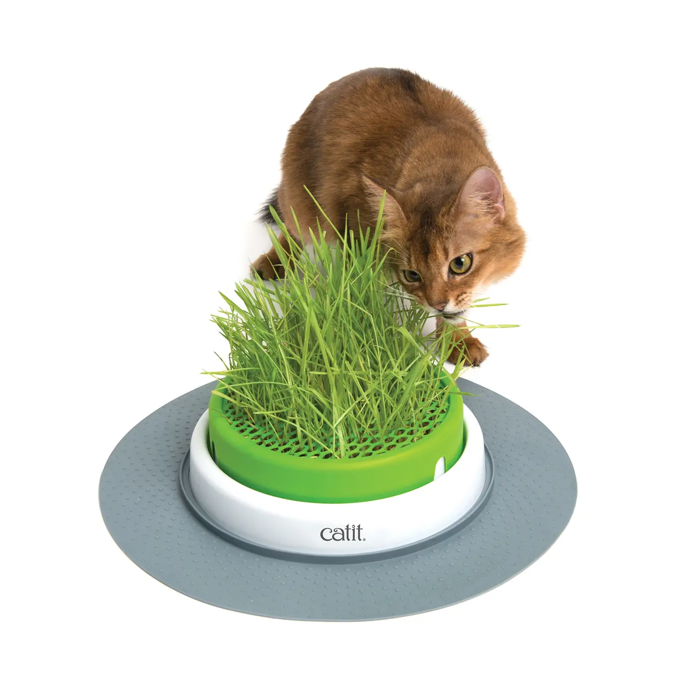Comparer les prix de Jardinière d'herbe Catit
