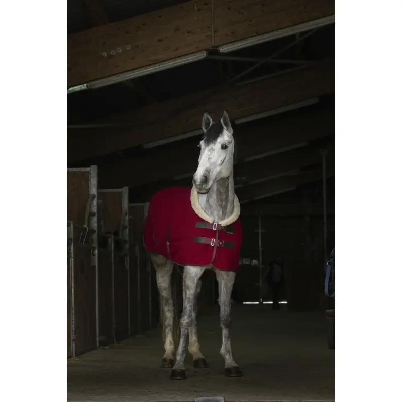 Equithème Men's Rouge Rug Teddy