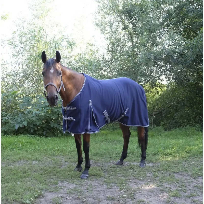 Meilleurs prix pour Chemise pour cheval Equithème Sweat 0g