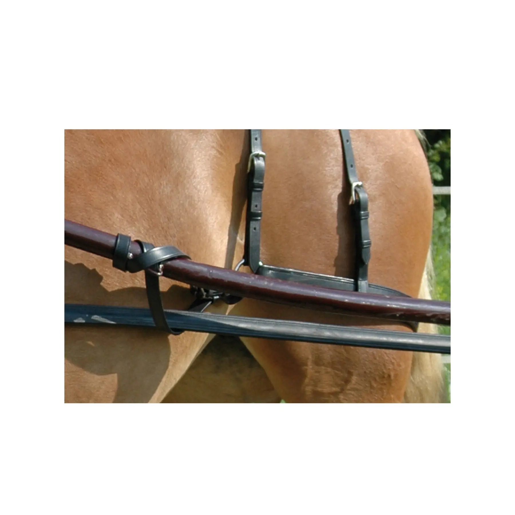 Comparer les prix de Porte-traits pour cheval Chetak