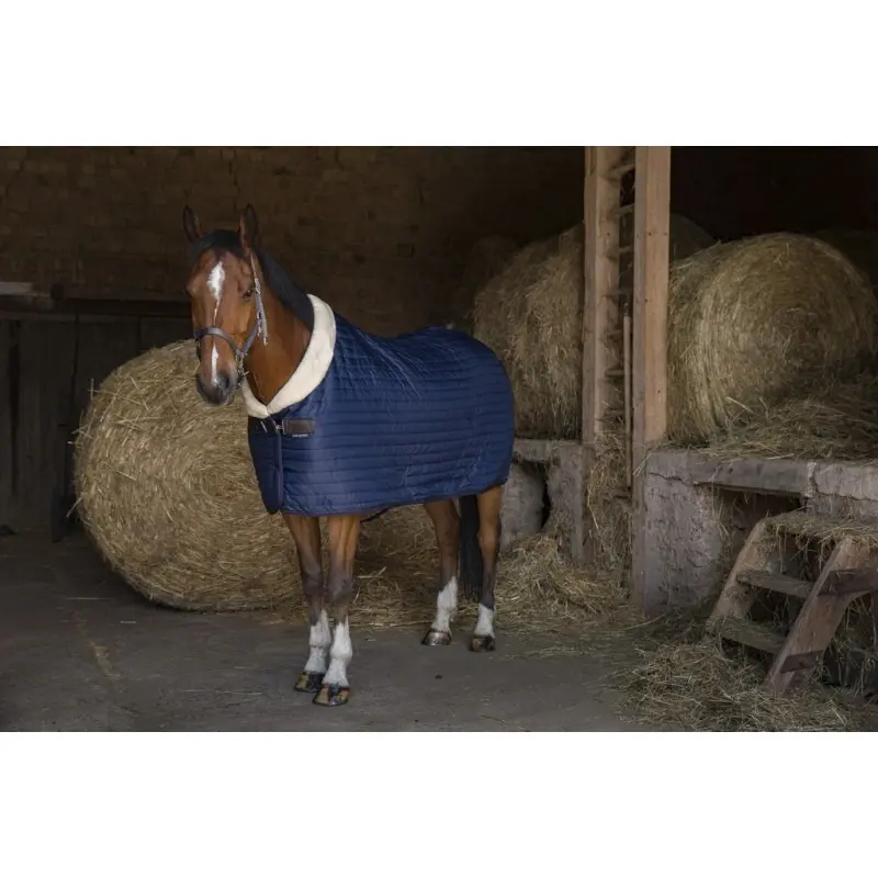 Equithème Men's Bleu Horse Blanket Teddy 0G