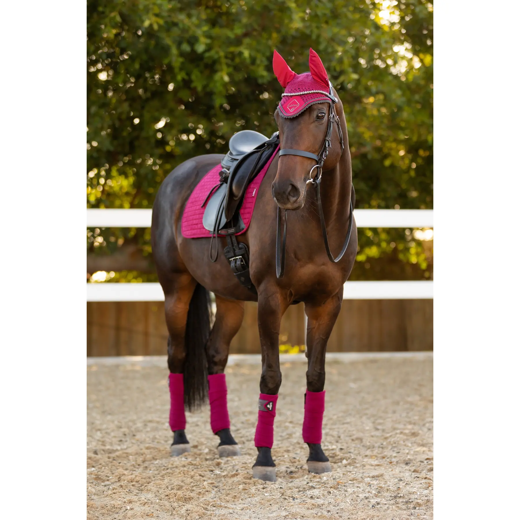 Tapis de selle Square Dressage – Lemieux | NOWA