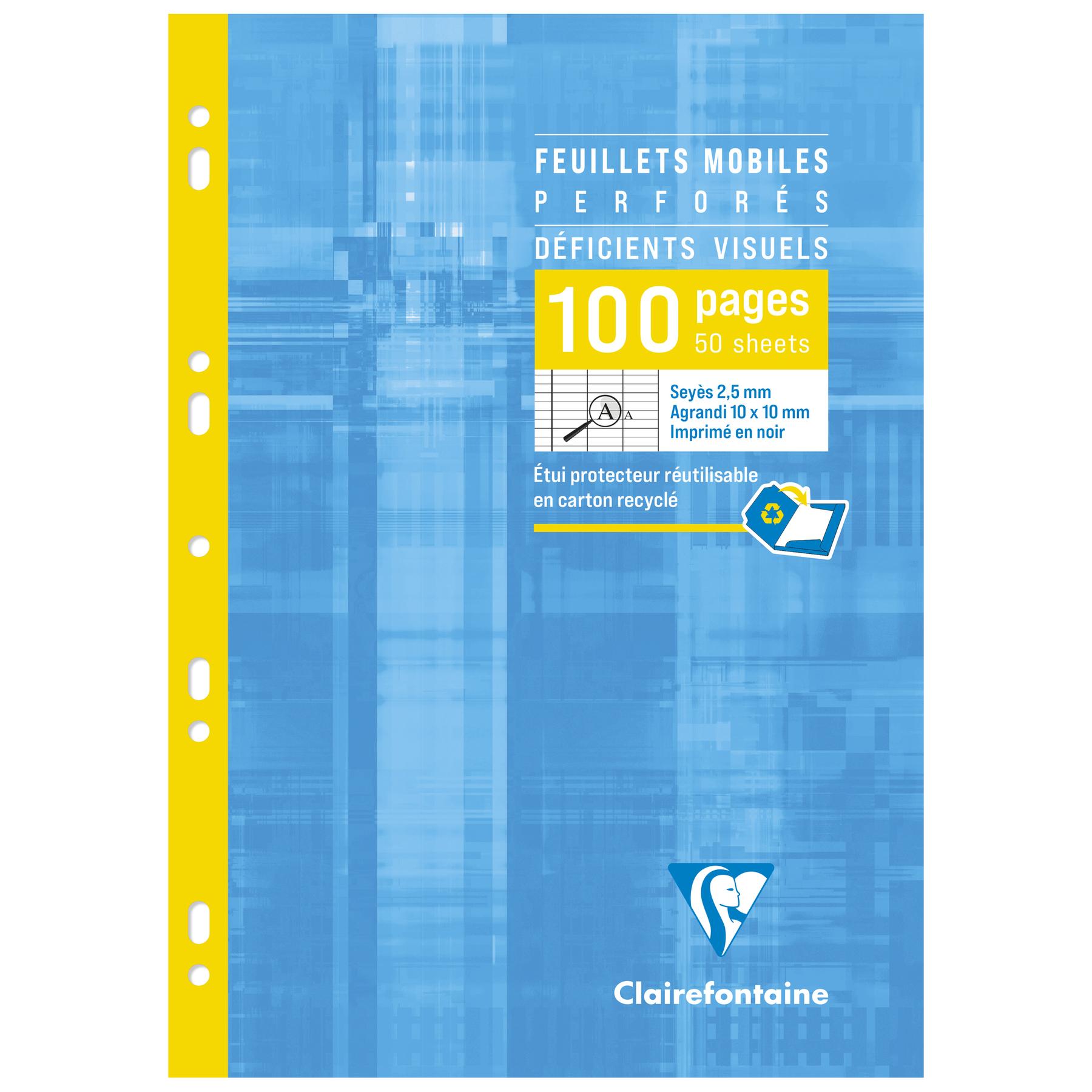 3329680174991 - Loseblattwerk in Spezialschuber für Sehbehinderte a4 100 Seiten perforiert großkariert Clairefontaine
