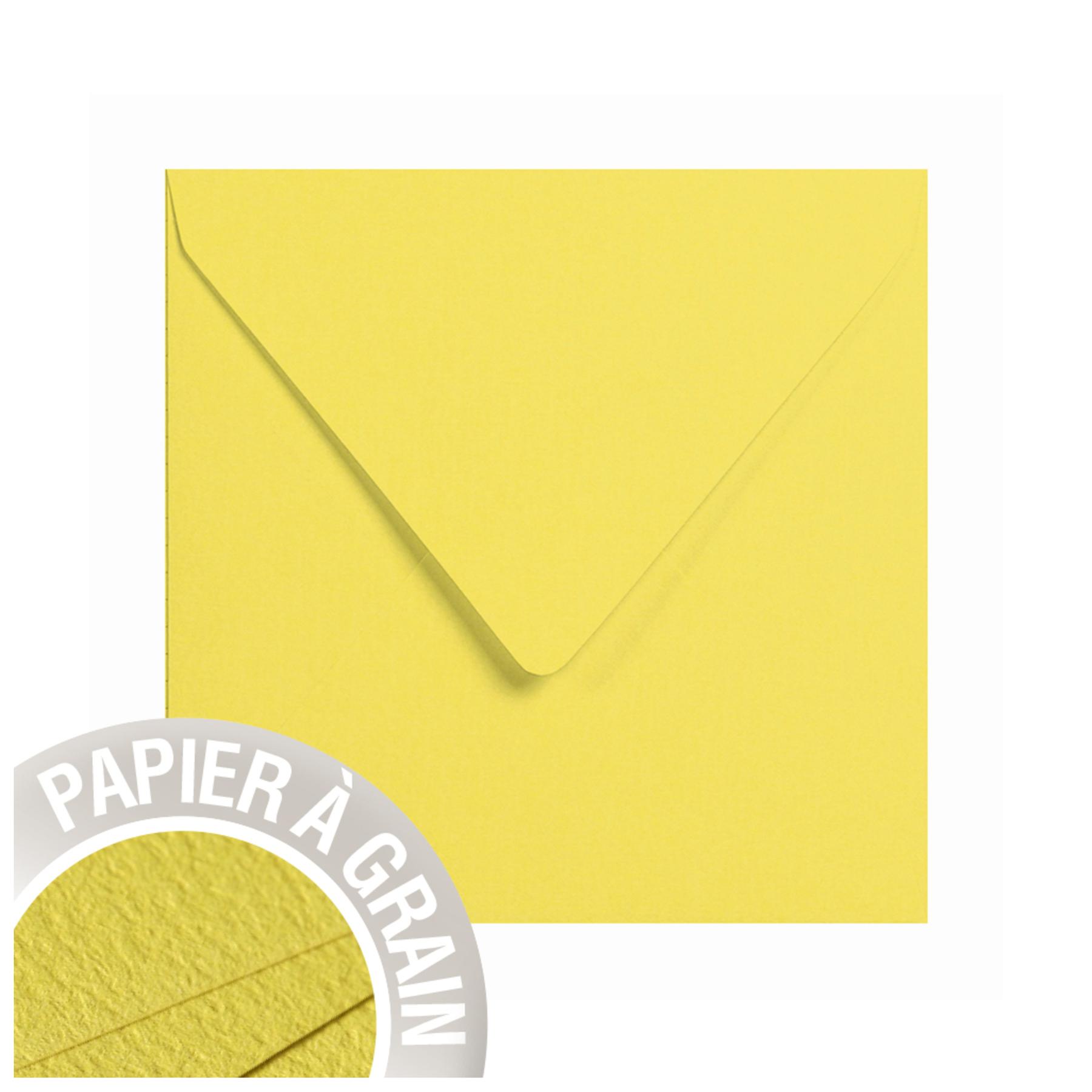 3329680334586 - Umhüllung Korn von Pollen (x5)