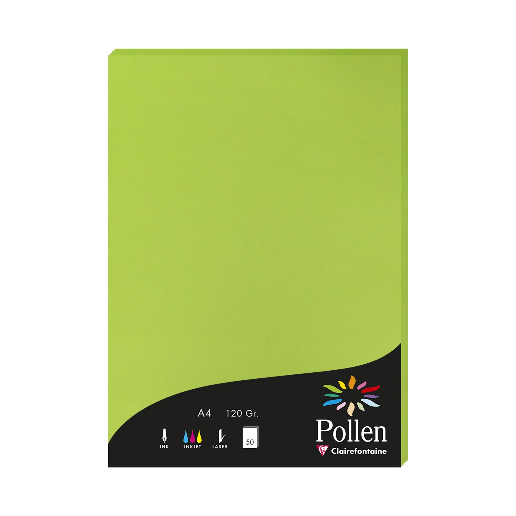 3329680421507 - Kopierpapier Pollen 4215C minzgrün A4 120g 50 Blatt 3329680421507 Clairefontaine
