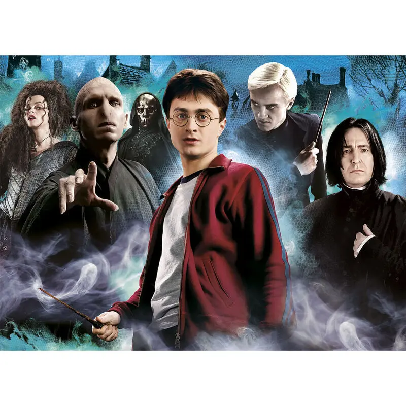 8005125395866 - 1000 pcs High Quality Collection Harry Potter