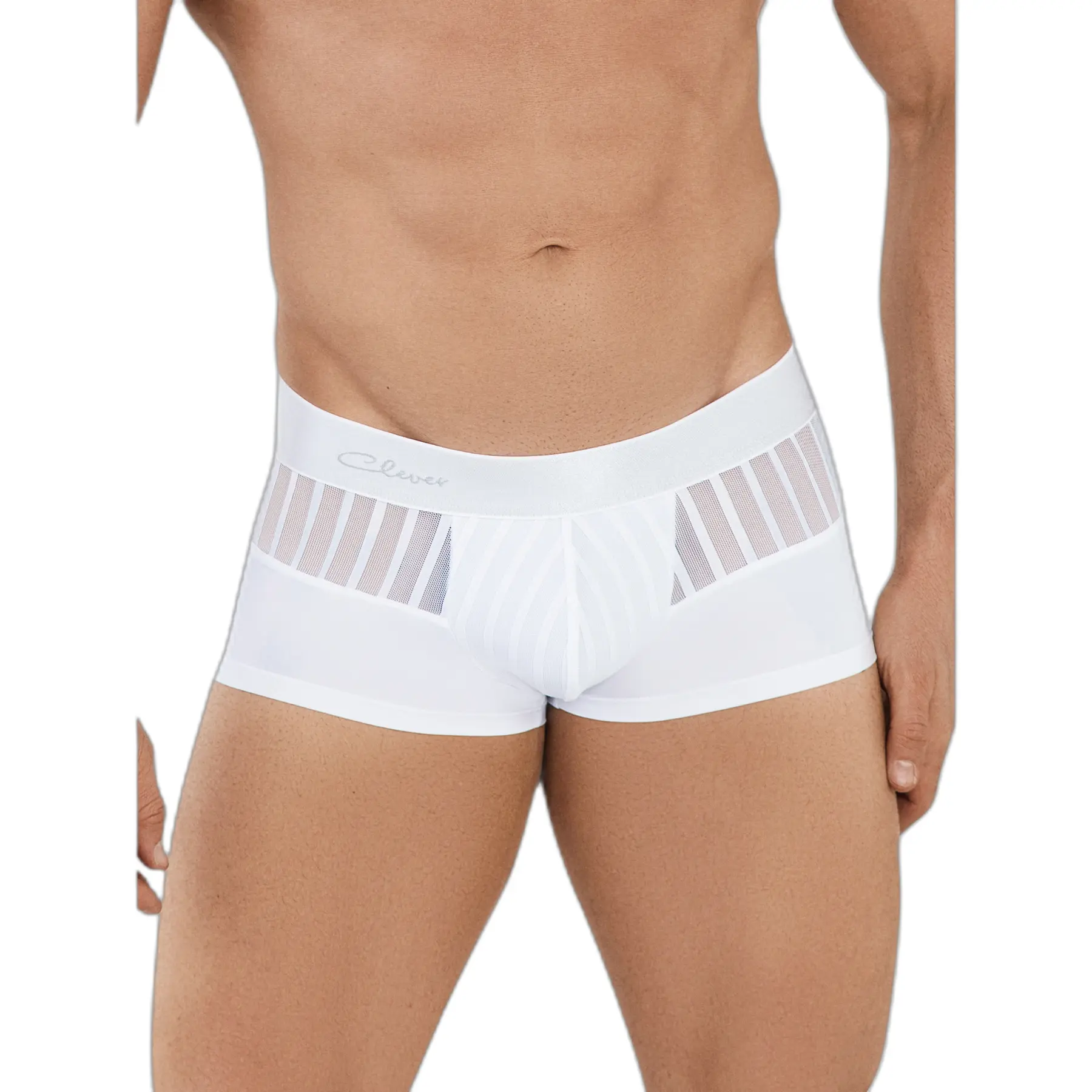 Image of Boxer Latin Clever Lucerna