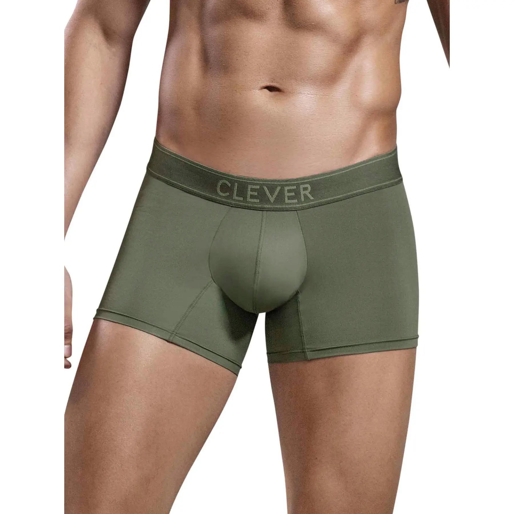 Image of Boxer Clever Britanica