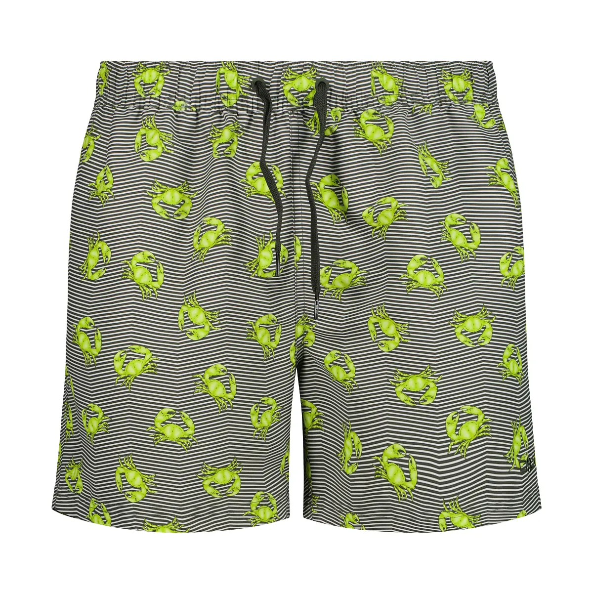 Cmp Herren Vert Badehose