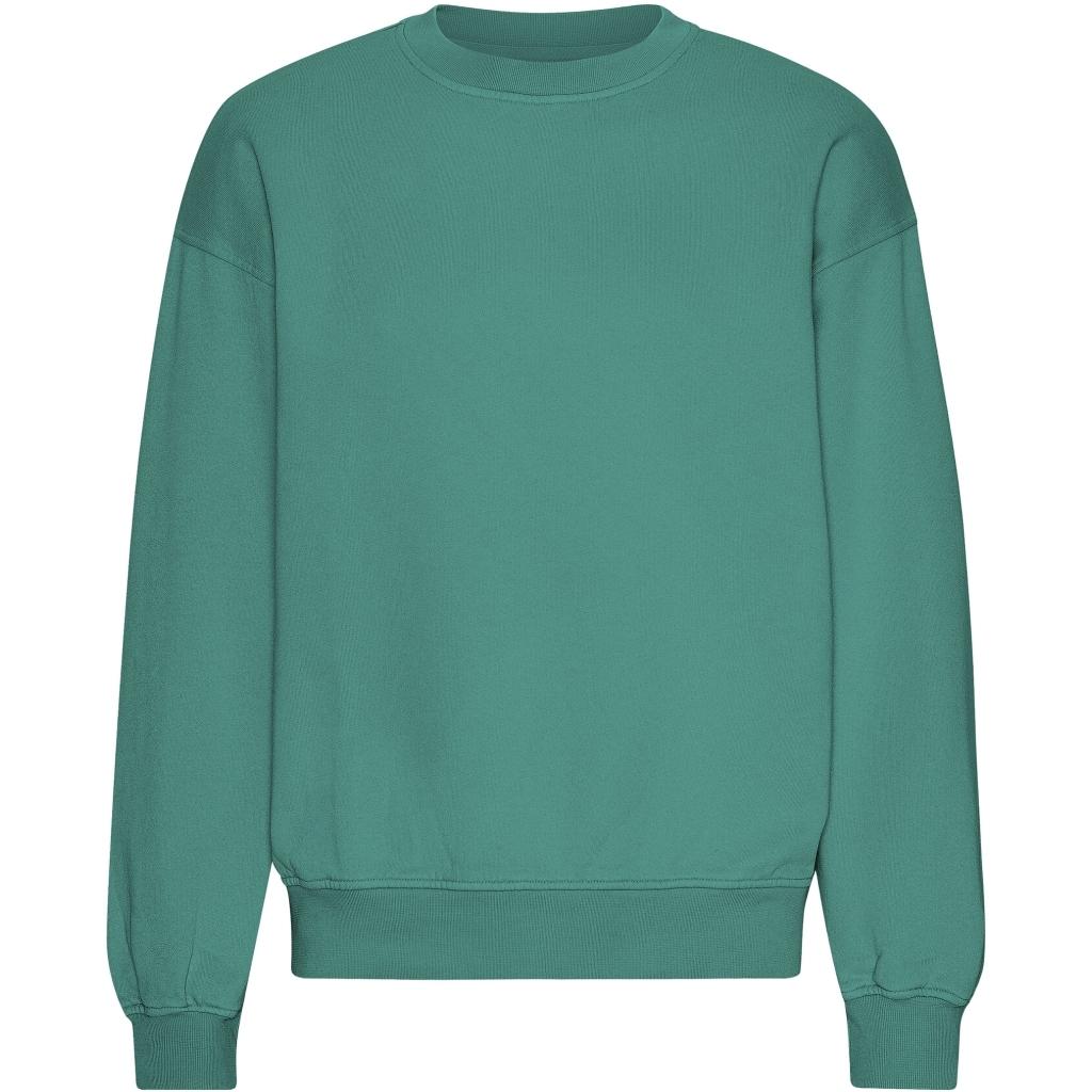 5602991083588 - Sweatshirt mit Rundhalsausschnitt in Oversize-Optik Organic Pine Green 5602991083588 - Sweatshirt mit Rundhalsausschnitt in Oversize-Optik Organic Pine Green