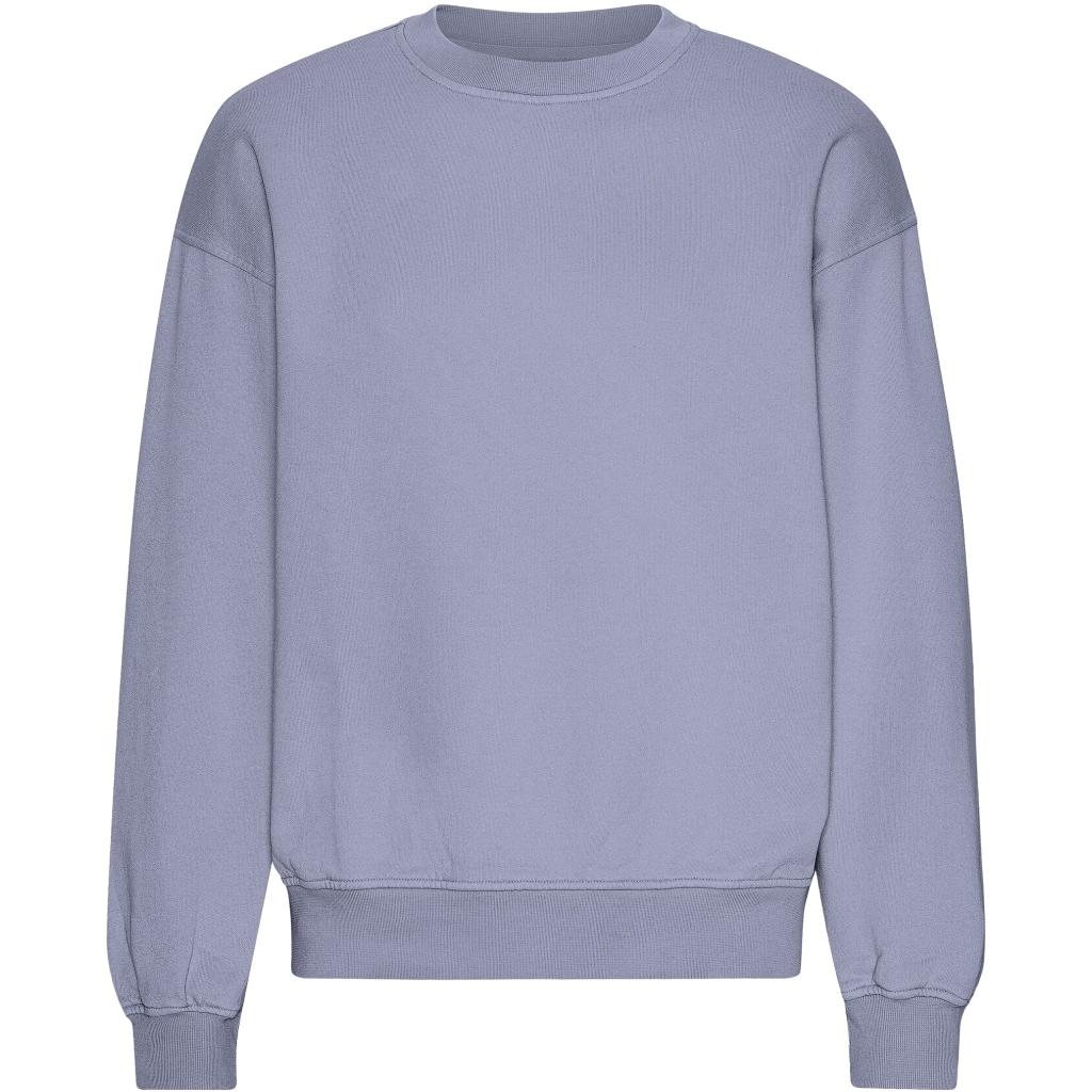 5602991103620 - Sweatshirt mit Rundhalsausschnitt in Oversize-Optik Organic Purple Jade