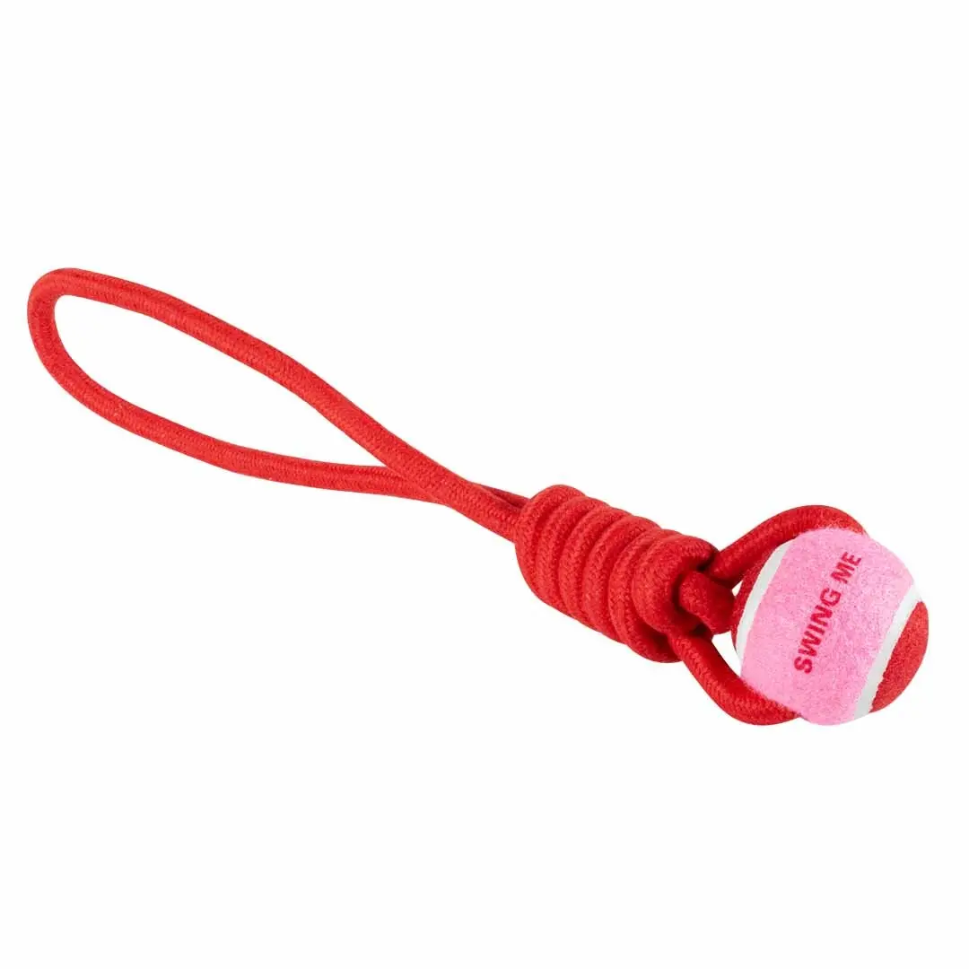 Coockoo Rouge Dog Toy Catch Me