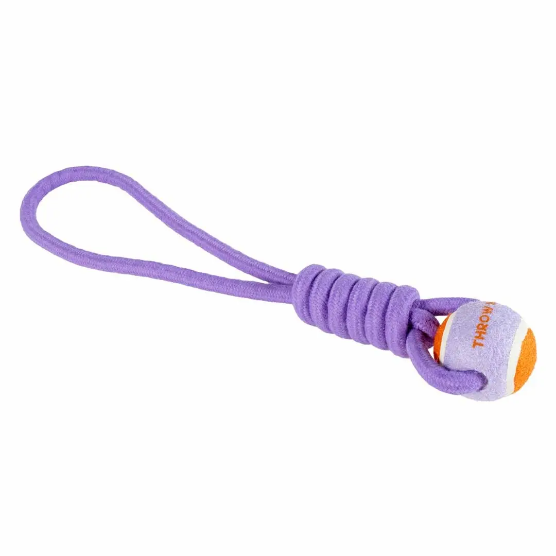 Coockoo Violet Dog Toy Catch Me