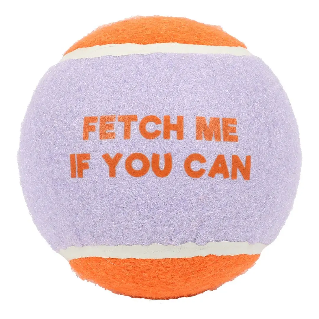 Comparer les prix de Balle pour chien Coockoo Fetch Me