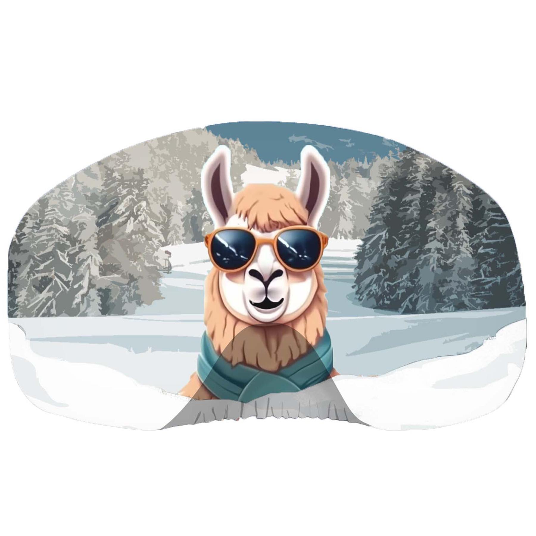 8436546866626 - Skimaske Hülle Coolcasc