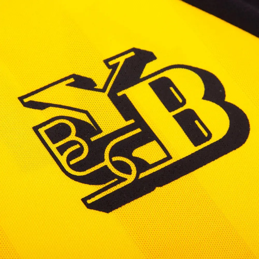 Maillots domicile et extérieur du BSC Young Boys pour la saison 2015