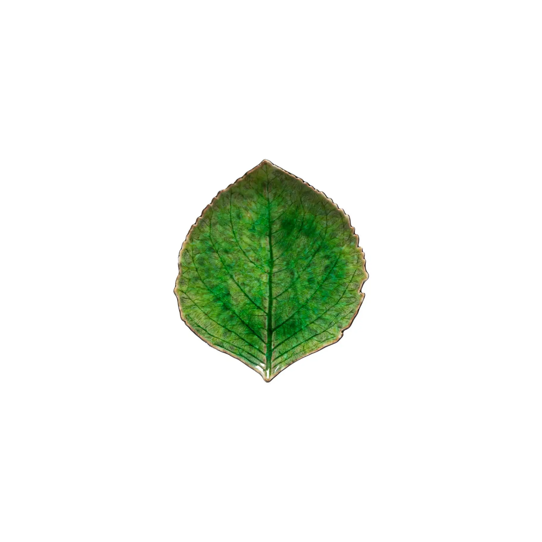 Petit assiette feuille d'hortensia Costa Nova Riviera (x6)
