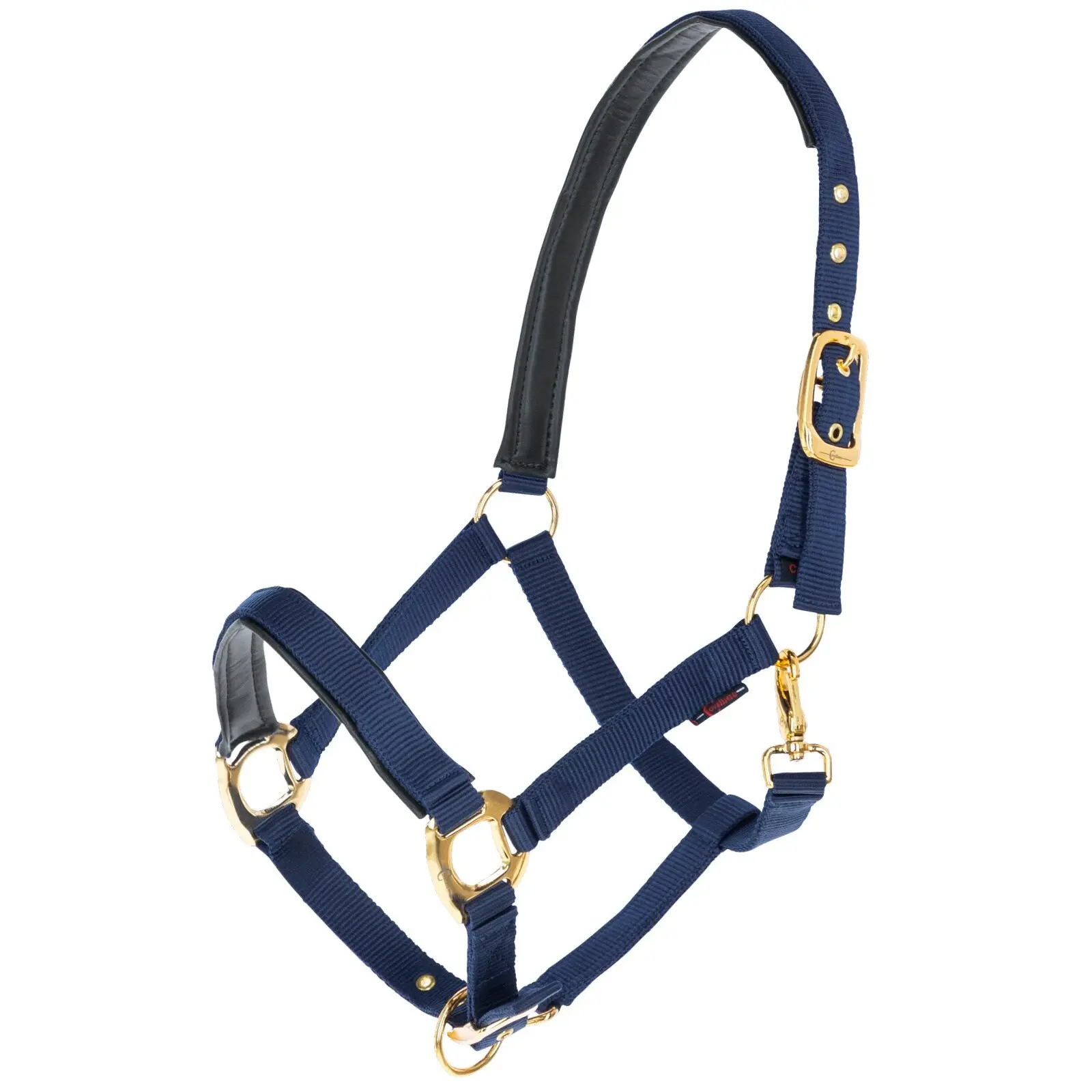 Covalliero Bleu Halter For Horse Topline