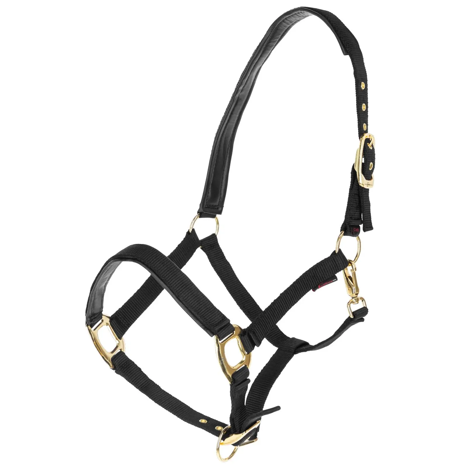 Covalliero Noir Halter For Horse Topline