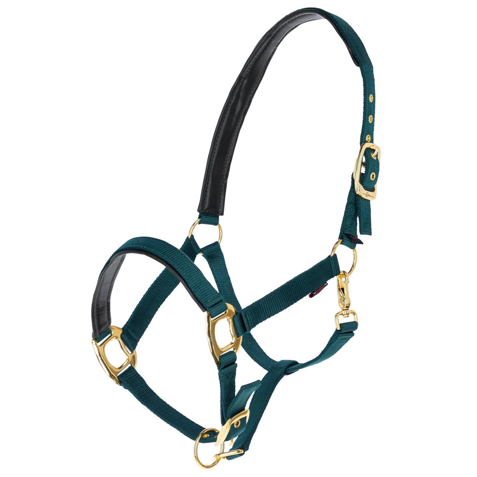 Meilleurs prix pour Licol pour cheval Covalliero TopLine