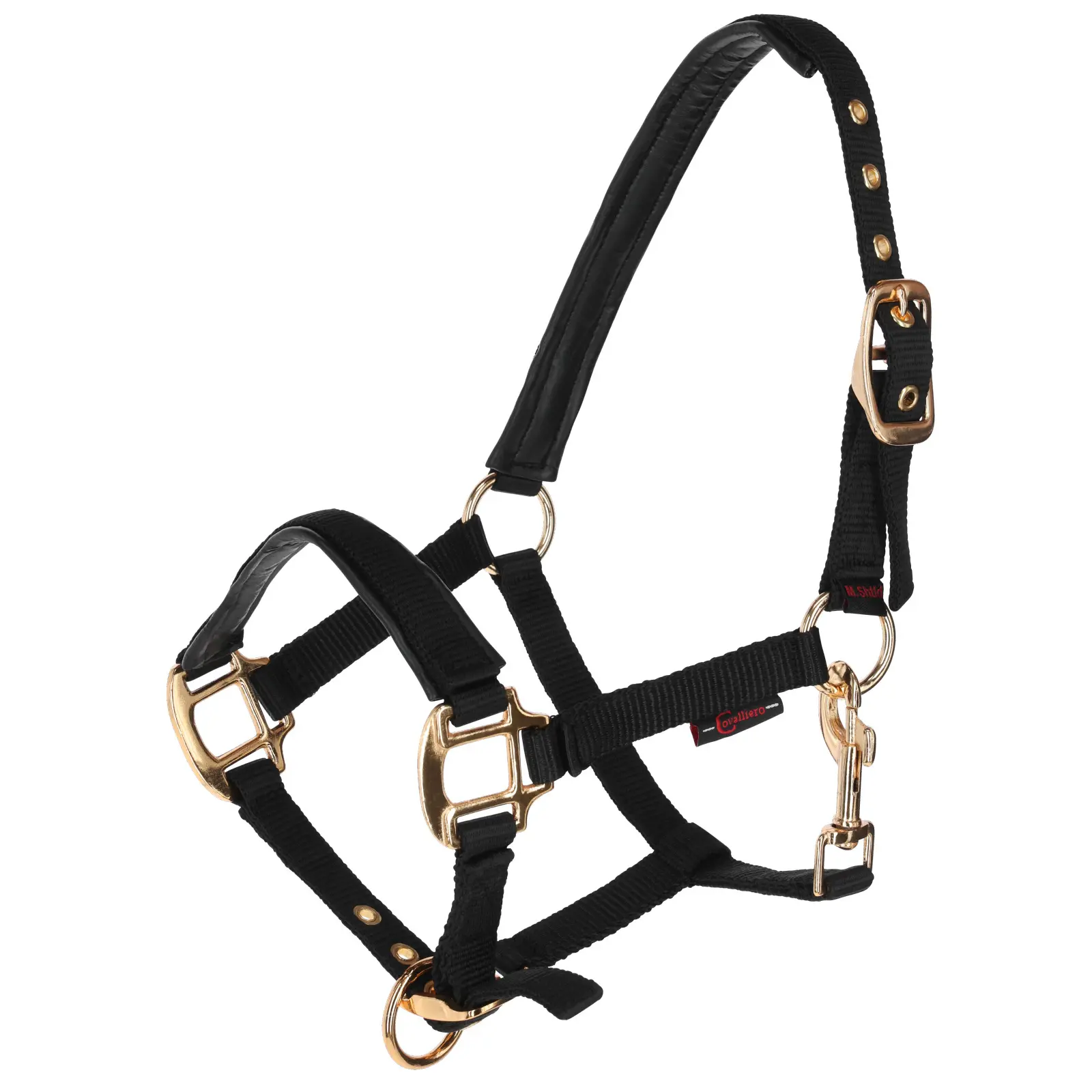 Covalliero Noir Halter For Horse Topline
