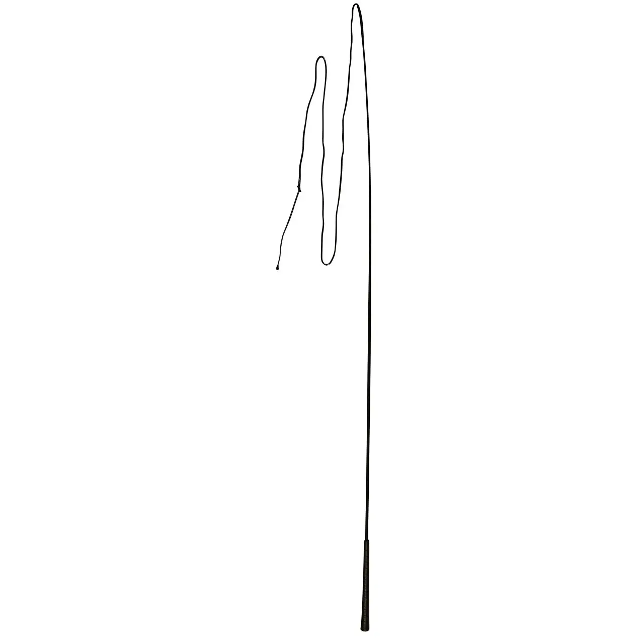 Covalliero Noir Riding Crop
