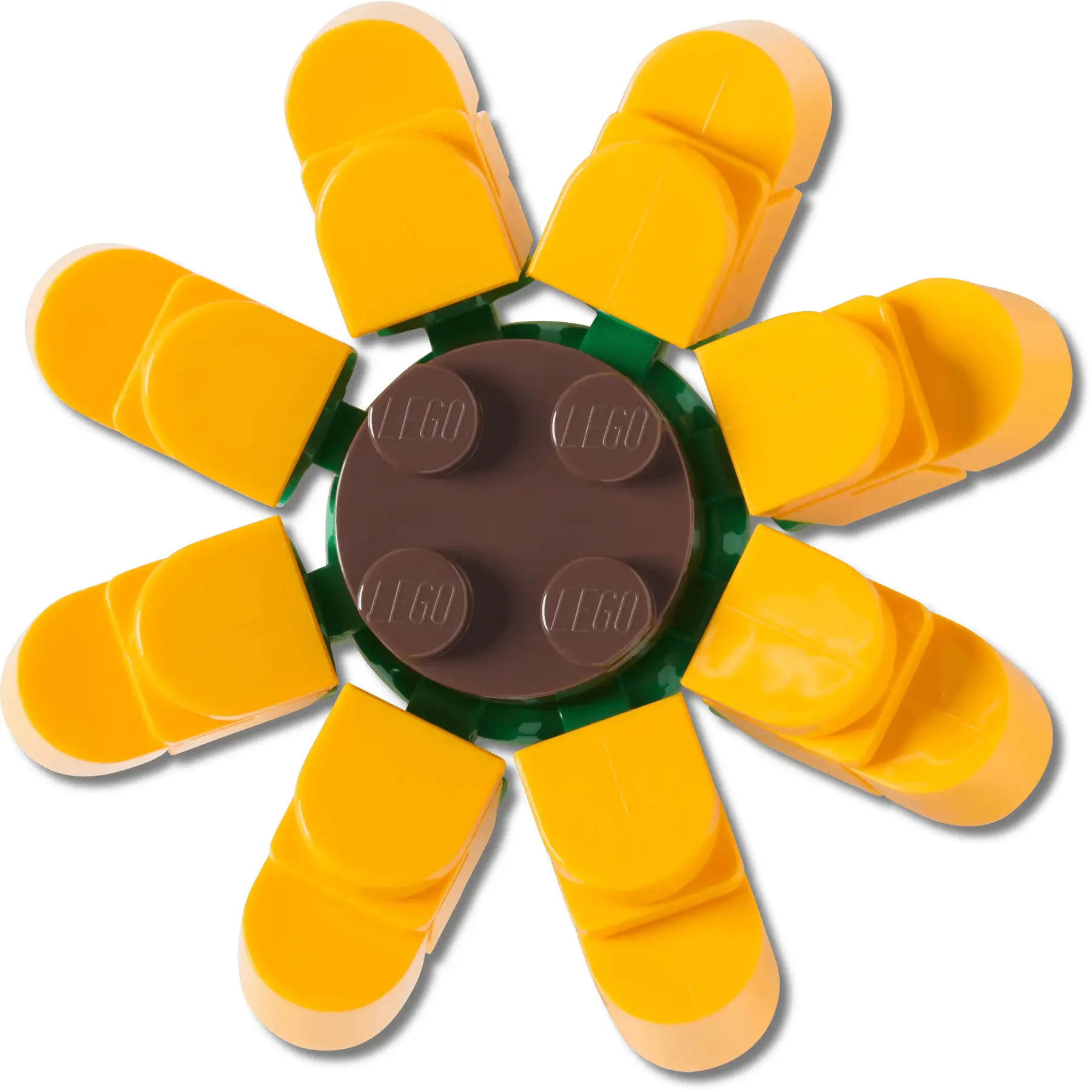 Jibbitz Crocs 4LW Botanicals 1