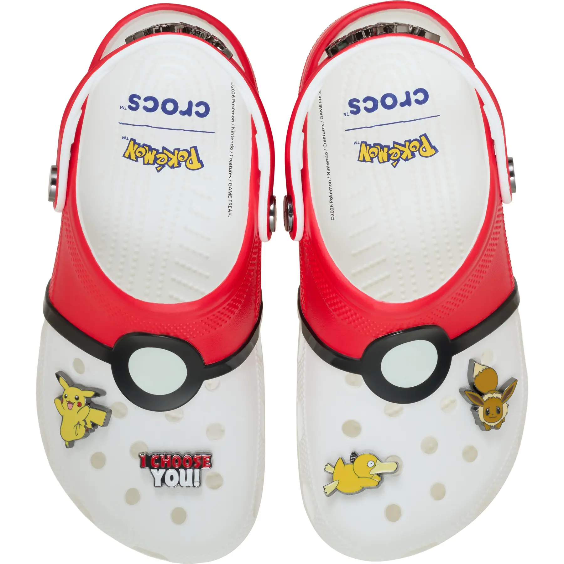 Sabot  Pokemon Poke Ball