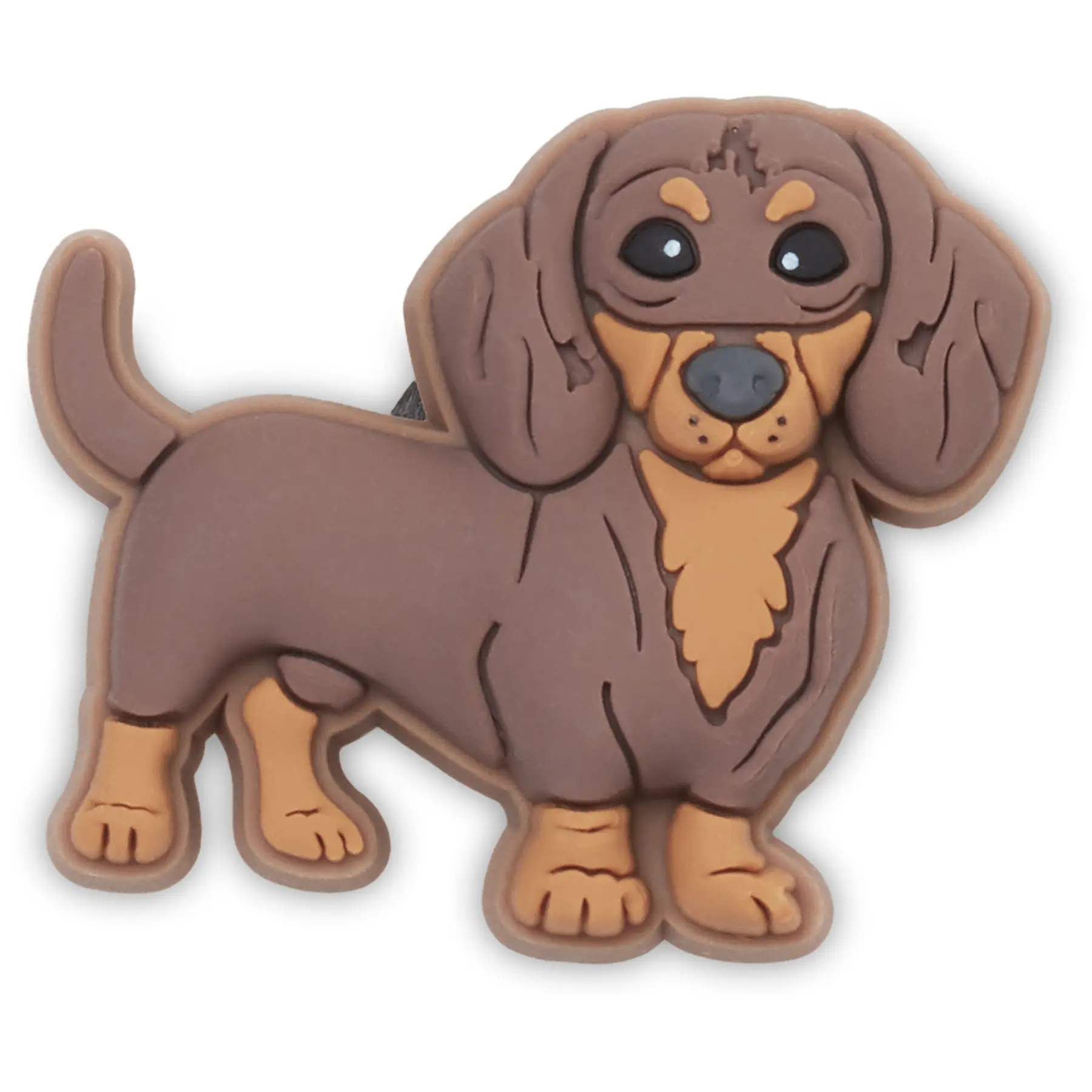 0196265894635 - Jibbitz Dachshund Puppy