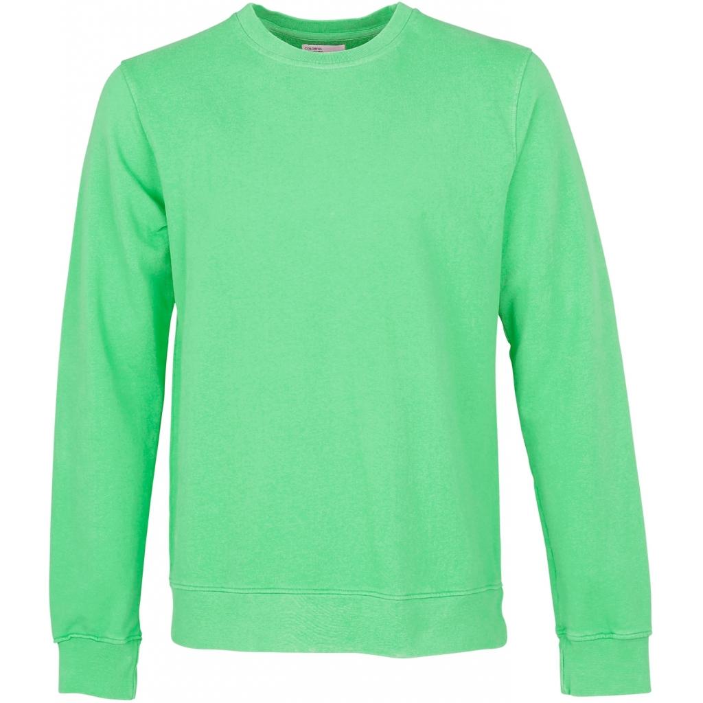 5602991029173 - Sweatshirt mit Rundhalsausschnitt Classic Organic spring green