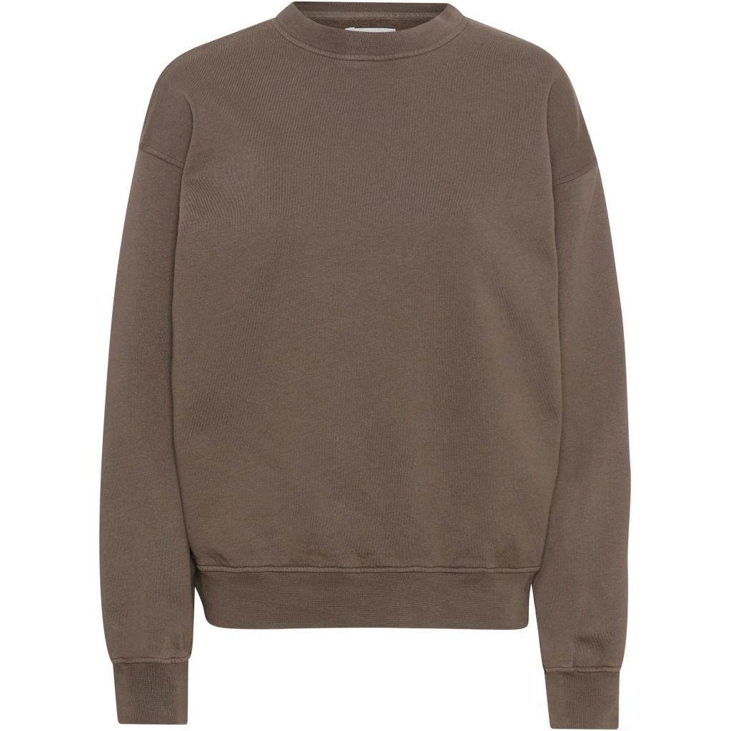 5602991064884 - Sweatshirt mit Rundhalsausschnitt Organic oversized cedar brown