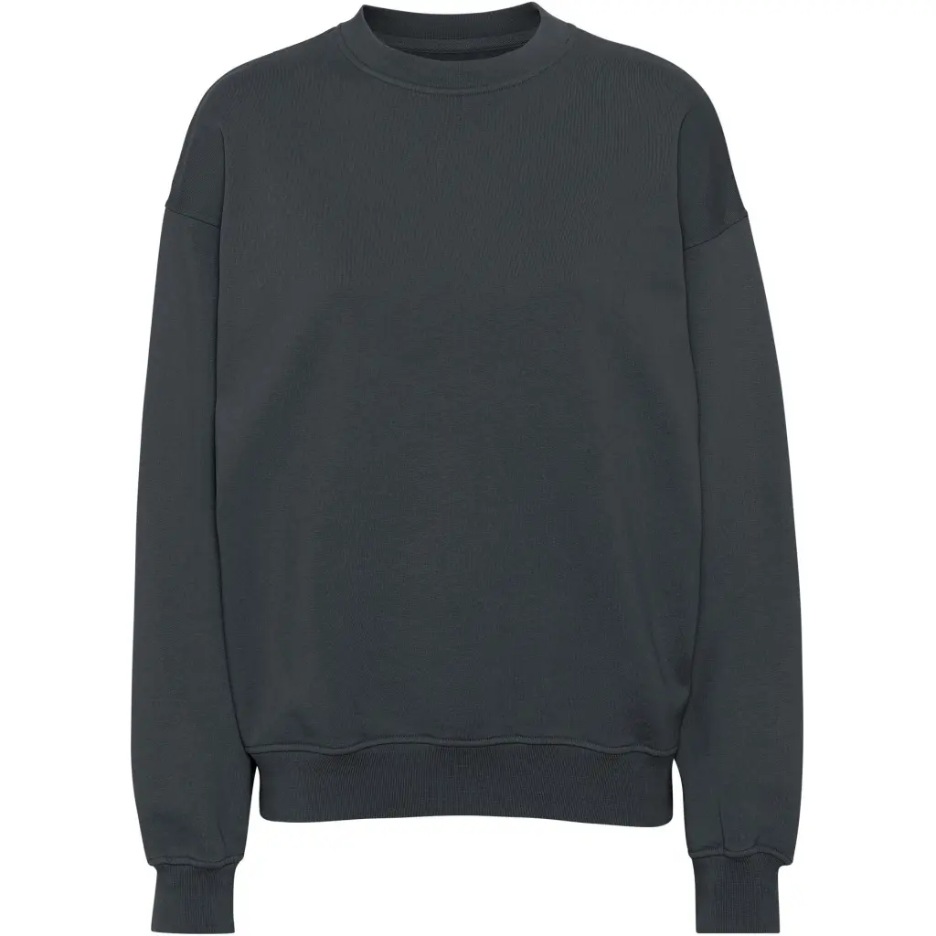5602991059071 - Sweatshirt mit Rundhalsausschnitt Organic oversized lava grey
