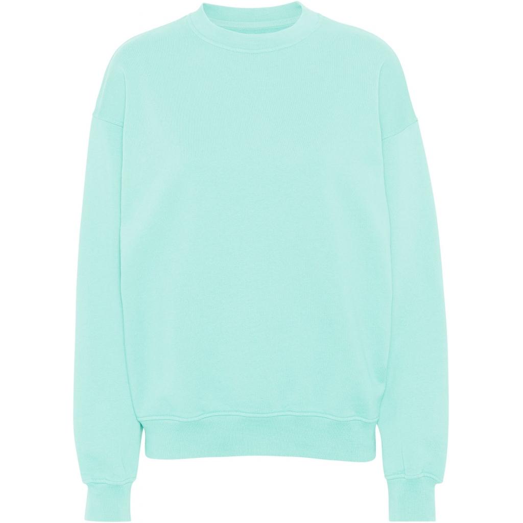 5602991059163 - Sweatshirt mit Rundhalsausschnitt Organic oversized light aqua