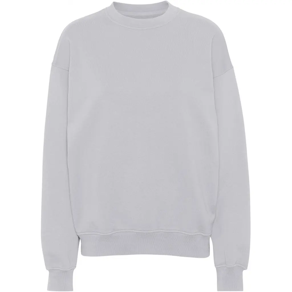 5602991059200 - Sweatshirt mit Rundhalsausschnitt Organic oversized limestone grey