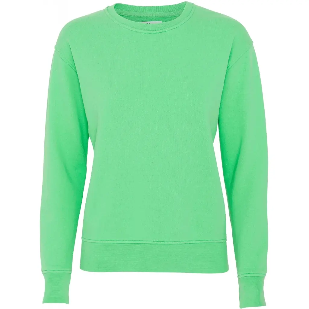 5602991030728 - Pullover mit Rundhalsausschnitt Frau Classic Organic spring green