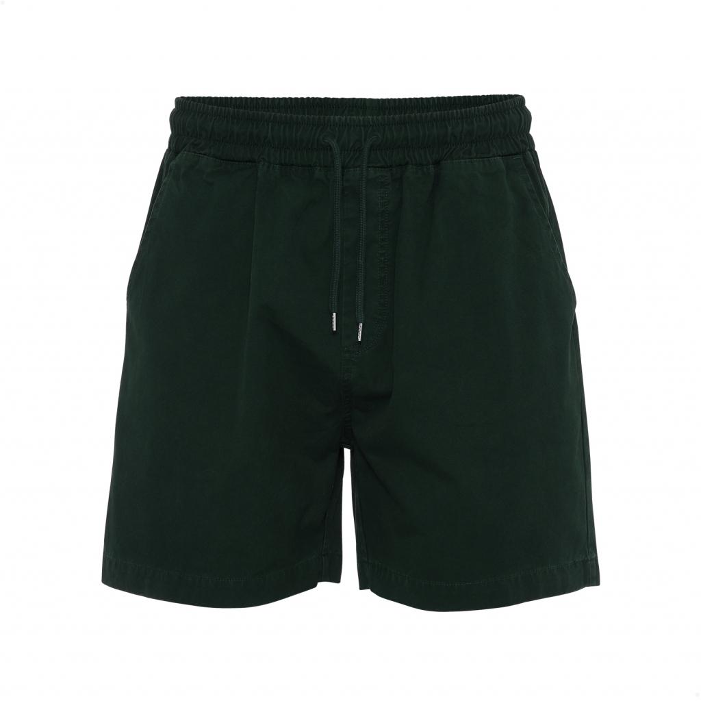 5602991016456 - Twill-Shorts Organic hunter green