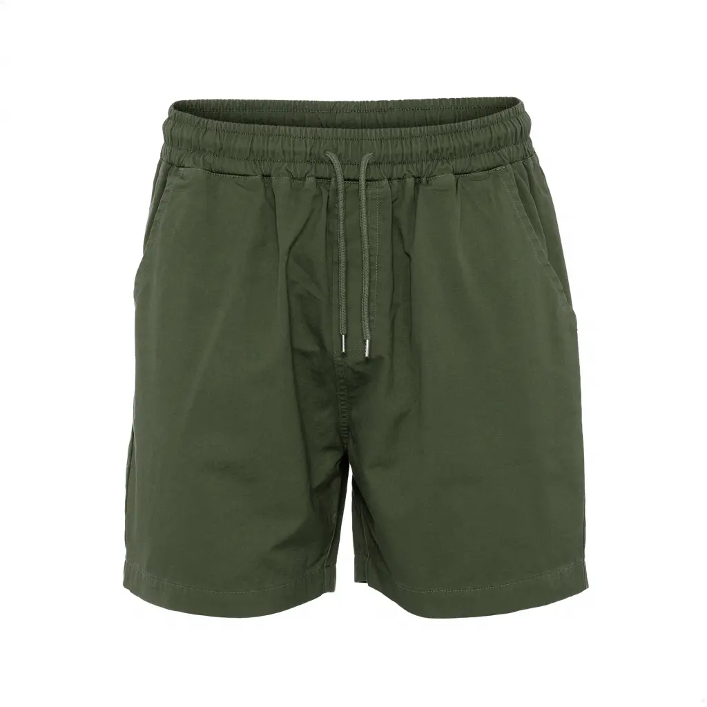 5602991037925 - Twill-Shorts Organic seaweed green