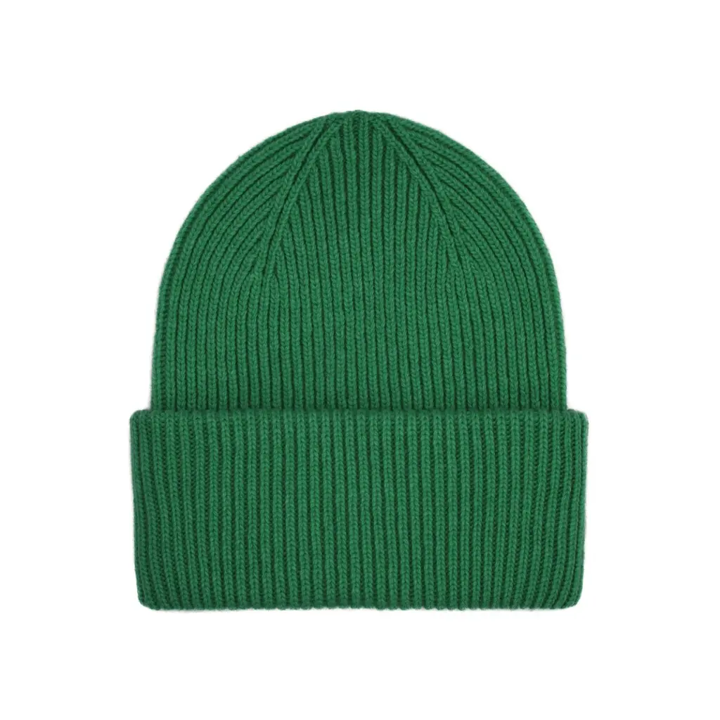 5602991019181 - Wollmütze Merino kelly green