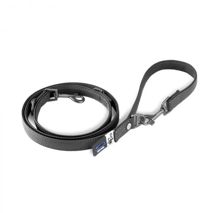 Verstellbare Hundeleine aus Leder Curli Apple
